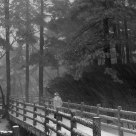 Snowstorm