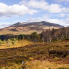 Late autumn beneath the Blue Mountain. The county of Sogn og Fjordane - Norway