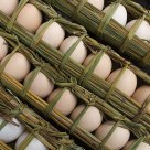eggs for sale