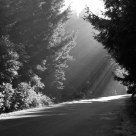 The Coast Road