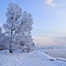 white world