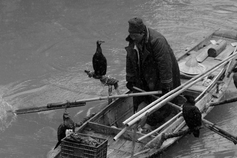 fisher