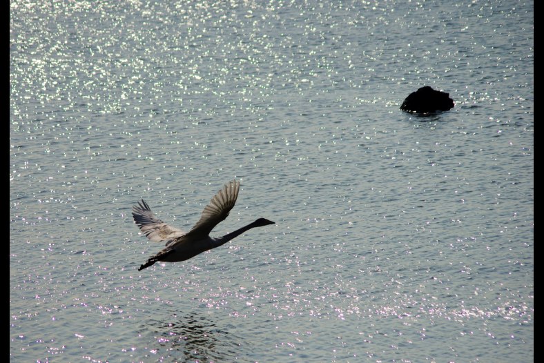 circle in the air