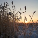 -21°C