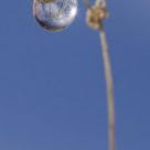 Le lampadaire
