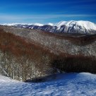 Monte Marsicano