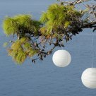 Two above the sea