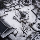 Snow: the natural B&W.