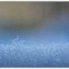 La neige en macro