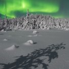 Moonlit auroras