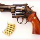 Magnum force