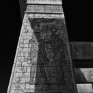 shadow