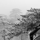Sonw in Yellow Mountain