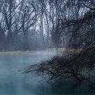 Sommerso, nella nebbia / Submerged, in the fog