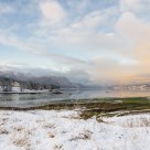 Winter day by the fjord. Bukta Bird Sanctuary - Norway