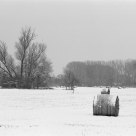 Wollmatinger Ried III