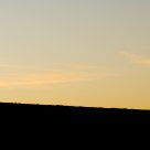 Lone Tree