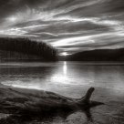 Log at Dawn.