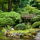 Japanese Garden