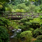 Japanese Garden
