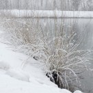 Snow on the lake