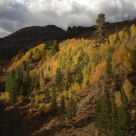 Sonora Pass Fall Colors