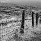 Fence