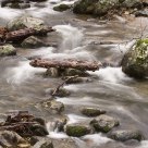 A river
