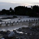 bridge