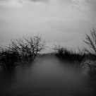 Going Nowhere