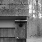 house on house