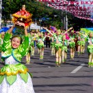 Sinulog Festival Dancer II