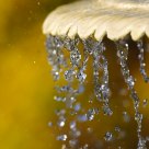 Water Droplets 