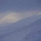 From Rondane/Norway