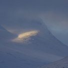 From Rondane/Norway