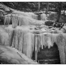 Winter Wonderland