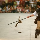 Flying bird of prey