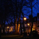 Neighborhood Silhouette at Dawn