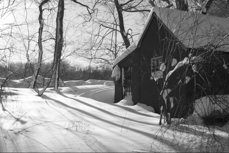 snow in light
