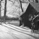 snow in light