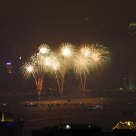Celebrating the year of snake, in 2013