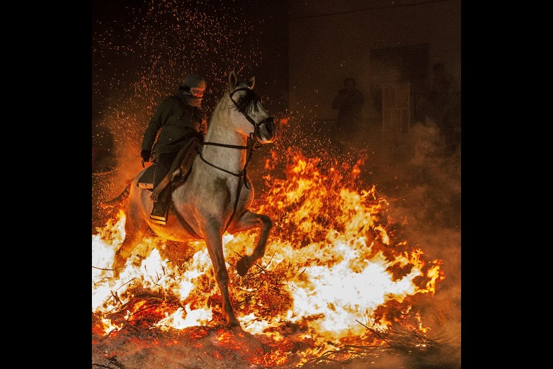 Horse and fire