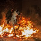 Horse and fire