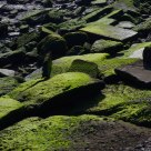 Low Tide
