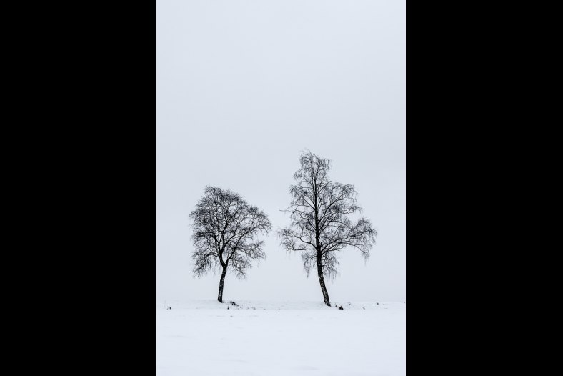 Pair in snow