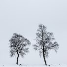Pair in snow