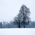 Pair in snow