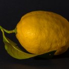 Lemon with Leaf