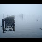 Staten Island fog