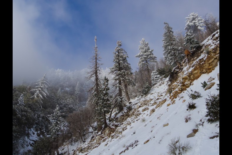 Big Bear WInter